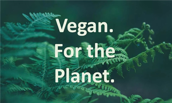 1545375142864264.jpg 16.jpg